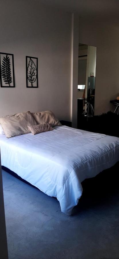 Moderno Departamento Con Balcon En Recoleta Apartment *